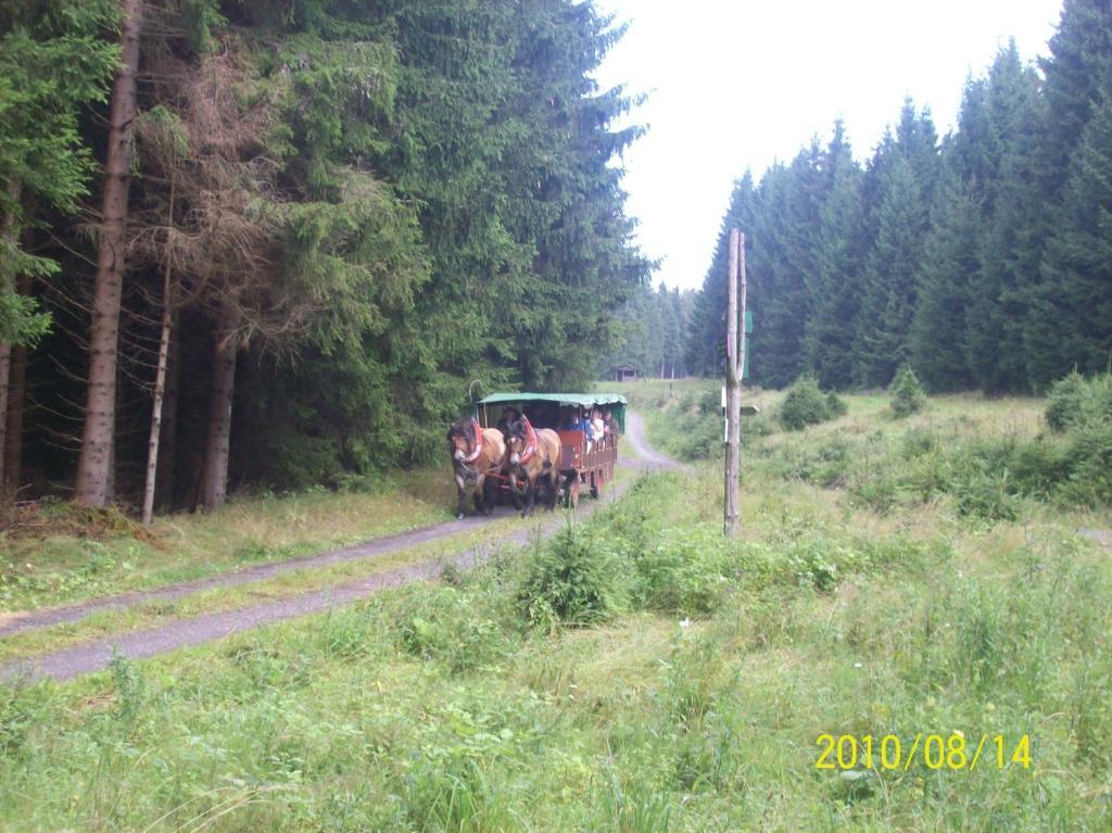 Hotel Burghof Oberweißbach Habitación foto